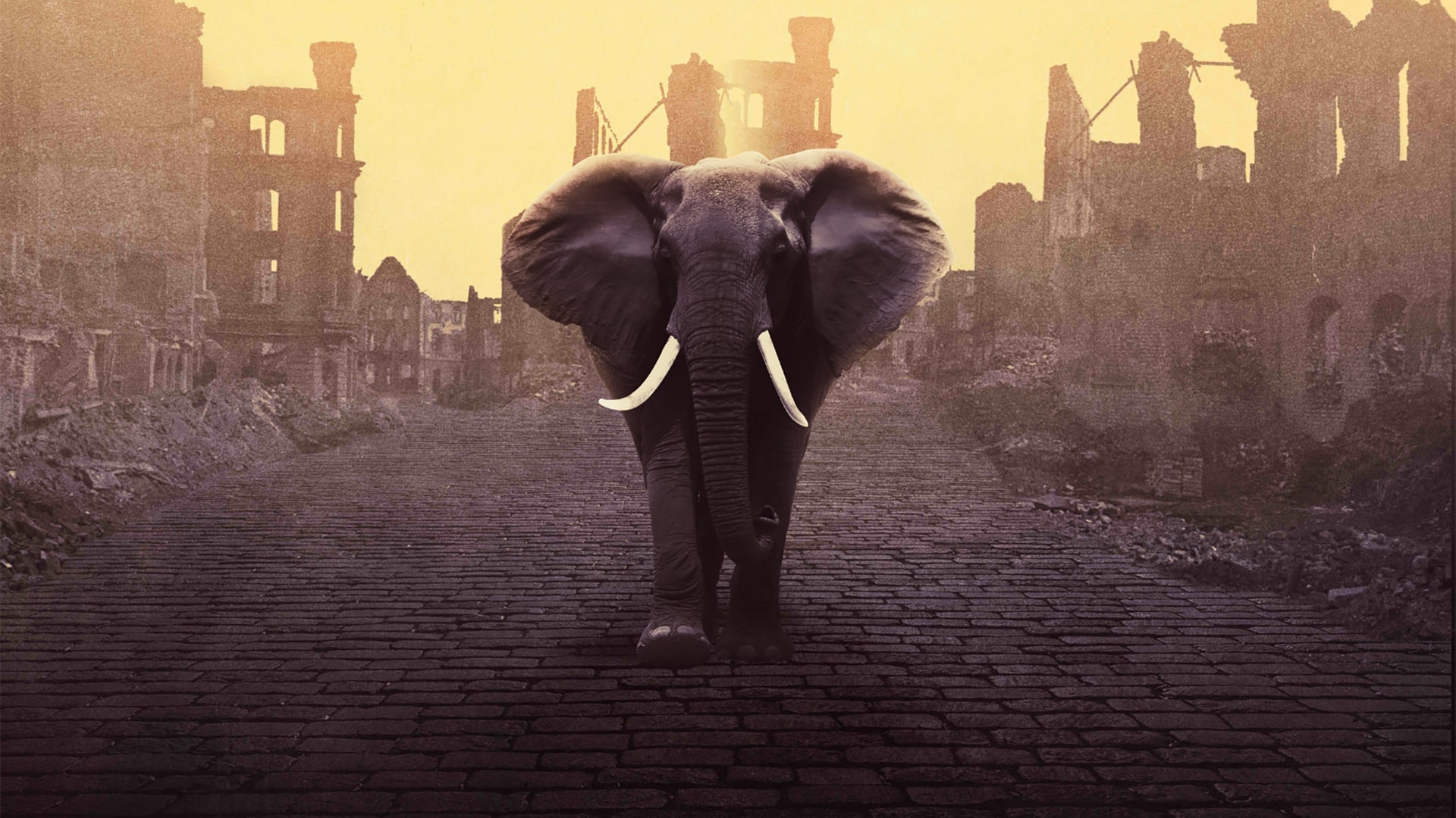 An elephant walking through a town in ruins, yellow-hued background.