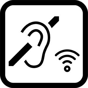 Hearing System icon